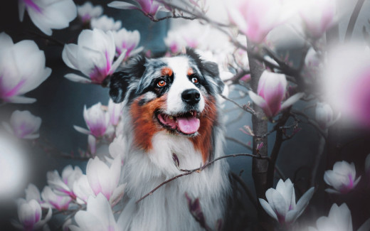 1165262 (a): :2560x1600